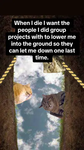 Finally got full participation 📚😹 #schoollife #project #memestiktok #cats #fyp 