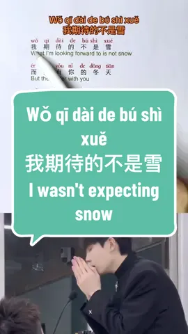 Chinese song：I wasn't expecting snow Wǒ qī dài de bú shì xuě 我期待的不是雪 #chinesesong #chinese #中文 #chinesetiktok #fyp 