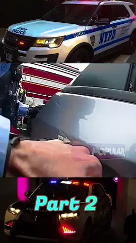 #fyp #copsoftiktok #foryou #viralvideo #police 