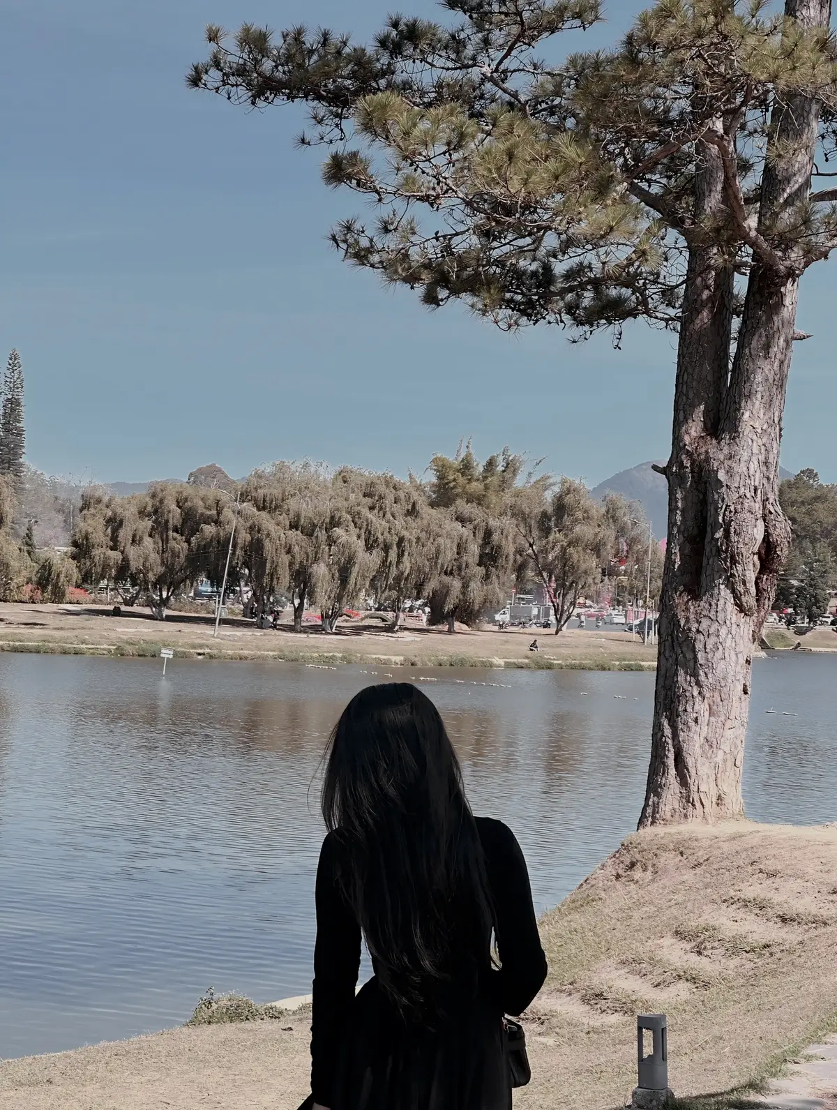 ❝Gặp gỡ nhau muộn một chút cũng tốt chứ sao. Anh đúng độ vào quãng đời chính chắn, Còn em bước sang tuổi đủ dịu dàng.❞ 🖤 ✿ ✿ ✿ #fypシ #fyp #story #xh #dalat #trending #2024 