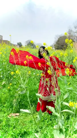 Kia iska name hai ❤️‍🔥 @Gul Rani 👑 #gulrani #fyp #multan #viral #usa🇺🇸 