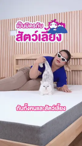 Classy ที่นอนที่เป็นมิตรกับสัตว์เลี้ยง ม้าววว🩷 #ที่นอนท็อปเปอร์ #siamlatex #affiliatetiktok #ที่นอนนุ่มๆ #payday #paydaysale #paydaysave #ช้อปกันวันเงินออก #นอนกรนเป็นเหตุ #ที่นอนอัดสุญญากาศ #ปวดหลัง #นอนไม่พอ #นอนกรน #แมวน่ารัก #แมว #แมวอ้วน #แมวเหมียว #แมวตลก #ที่นอนเย็น #ที่นอนนุ่มไม่ปวดหลัง 