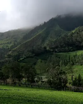 vibesnya tenang bgt yah #fyp #lyrics 