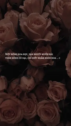 caption hay 🌹💗  #tiktok #xuhuong 