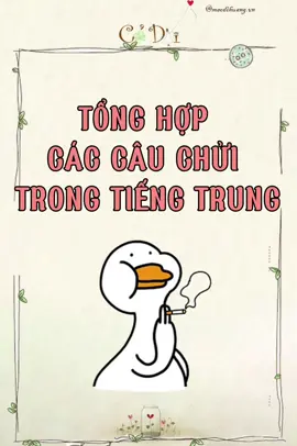 Chửi thề trong tiếng Trung như thế nào 😝 Lưu dần chửi nhau cho máu =)))) #tiengtrung #hoctiengtrung #学习汉语 #tiengtrunggiaotiep #codaitiengtrung #khaungutiengtrung 