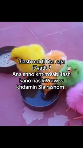 😂😂😂😂 #fyp 