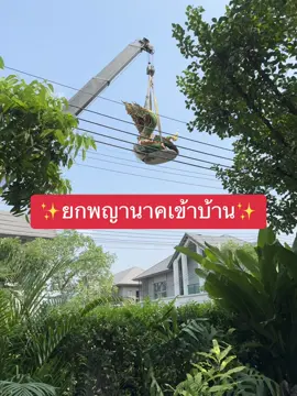 เมื่อฉันนำองค์พญานาคที่สั่งเข้าบ้าน #อย่าปิดการมองเห็น #fypシ #พญานาค #มูเตลู #ศรัทธา #บูชาพญานาค #ไหว้พญานาค #สวน #จัดสวน 