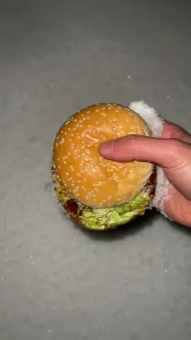 SUMIBI Hamburger【炭火】魔改造バーガー #bbq #hamburger