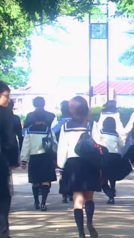 1 Lít Nước Mắt - 1 Câu chuyện chống chọi căn bệnh quái ác của Aya. #review #reviewphim #1litreoftears #jdrama #pykeani #xuhuong 