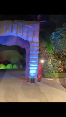 #انصاف_فتحي  #اغاني_انصاف_فتحي