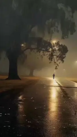 Good night my love, Sleep well. I love you and miss you so much 😘💕 ชื่อเพลงค่ะ Have I Told Lately 🥰 #jane_21111 #🧑‍🤝‍🧑❤️ #🤵👰 #foryou #fypシ #รักทางไกล✈️💕 #ระยะทางไม่ใช่ปัญหา #ความรักเป็นสิ่งที่สวยงาม #tiktokui #tiktok 