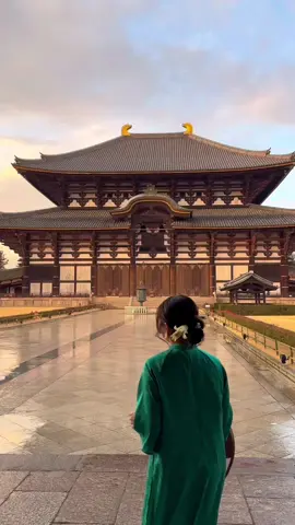 “Phật Pháp cao siêu rất nhiệm mầu Trăm ngàn muôn kiếp khó tìm cầu Nay con nghe thấy chuyên trì tụng Nguyện hiểu Như Lai nghĩa nhiệm mầu” Đại Phật Như Lai Daibutsu Todaiji Nara Japan #nara  #japan #travel #daibusuden #japan #nara #travel #fypシ #fypシ゚viral #trending 