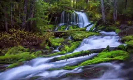 Ni mwiza @Ambassadors of Christ Junior @Ambassadors of Christ Choir #trending #duet #burunditiktok🇧🇮 #ugandatiktok #gospel #tiktokkenya #tiktokrwanda🇷🇼 #rwandatiktok🇷🇼 #fypシ゚viral #fypシ #fypシ゚viral @Rwanda lyrics @Fiston Nziza @Feza Lyrics🎶 #foryou #pawalyrics 