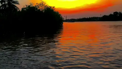 #canhdepvietnam #xh #xuhuong2023 #tiengiang #mientay #xuhuongtiktok #canhdepthiennhien #canhdepmientay #xuhuong2024tiktok❤️🌈✔️🤟🤟🤟story 