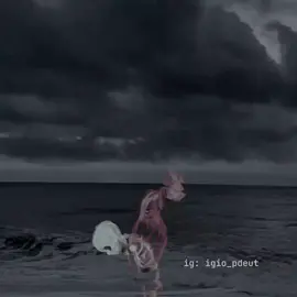 @pillz4babi #NieblaBabi #cover #GЯΣYKIDZ #🍳 #Babi #pillz4babi #pillz4 #pillz 