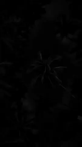 menikah tanpa di hadiri ayah itu sangat sakit... #story_94🎭 #anakku #anakkuat #buahhati 