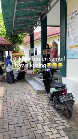 @dinopenyetʚɞ maaf ya ka🫰🏻