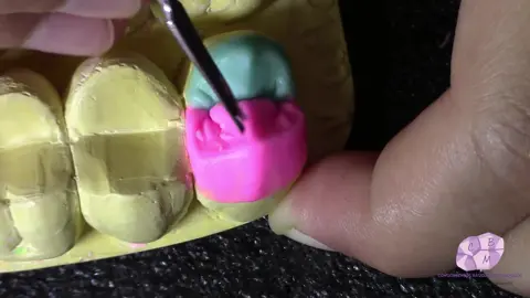 Somos CBM Conocimientos Básicos Morfológicos, dedicados a la enseñanza de la Morfología Dental 👊. #dentist #odontologia #morfologiadental #morfologiadental #dientes 