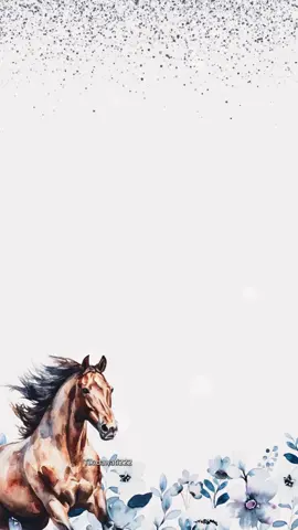 بشارة مولود سمي أبوي🤩❤️‍🔥#اكسبلور #تصميم_فيديوهات🎶🎤🎬 #بدون_موسيقى #fyppppppppppppppppppppppp #بشارة_مولود #سمي_جده #سمي_ابوي #بدون_اسم #fyp #fypシ 