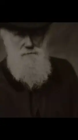مولانا. #fyp #9nkc #foryou #cinematicvideo #edit #husein #fypシ #tonysprano #explore #Misery #fyp 