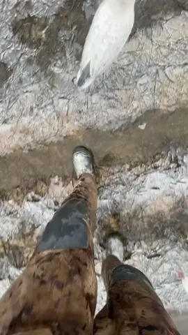 Satisfying 😳#satisfying #asmr #ice #snow #oddlysatisfying #fyp 