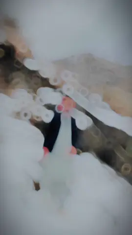 paRT 76#🦋🖤💙 FYp;