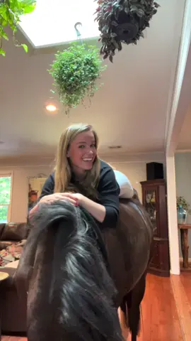 It’s a lifestyle 🦄 #horsegirl #equestrian #horsesoftiktok 