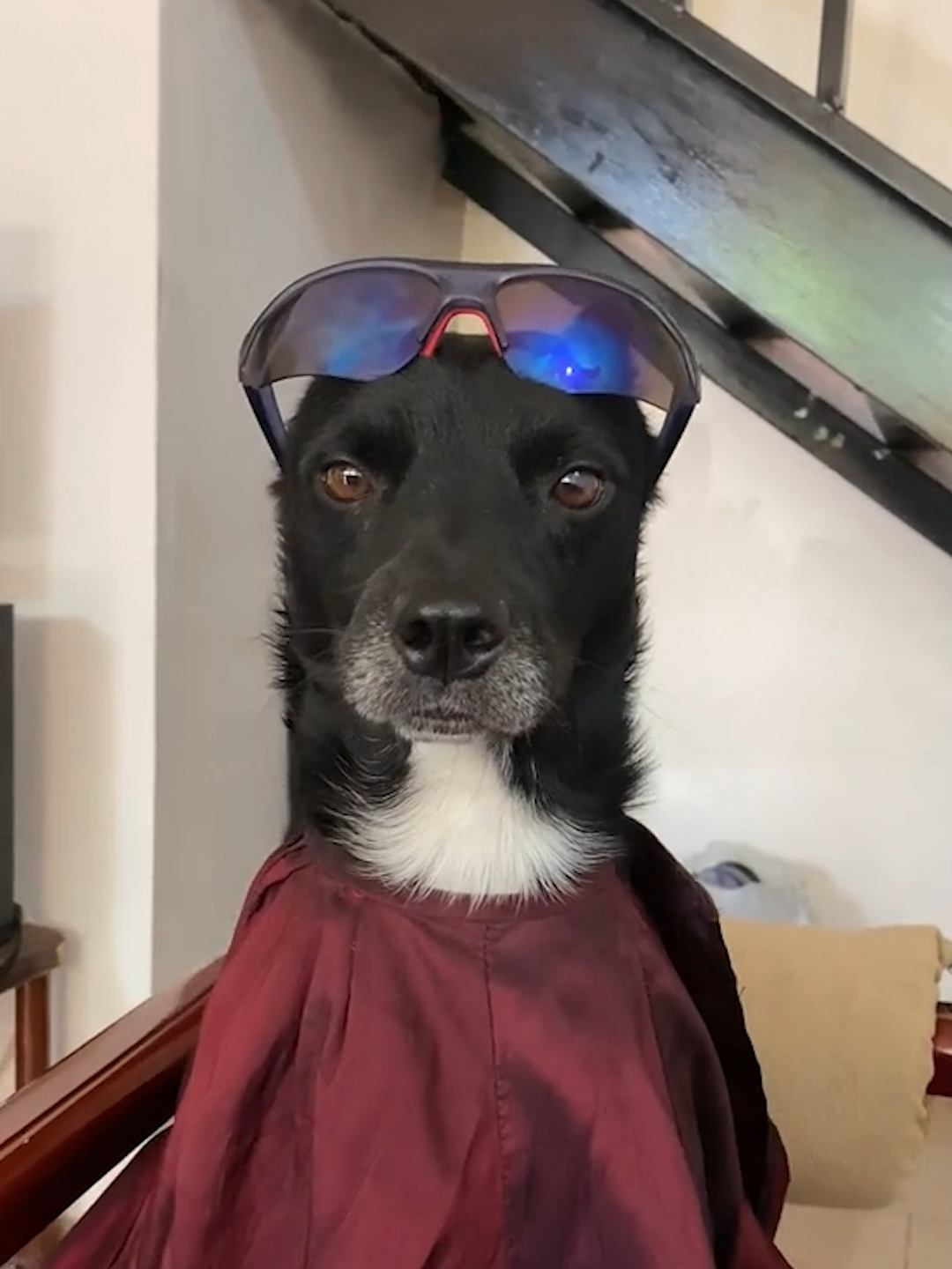 Origen Audio Llegué de la Barberia 😂 #meme #raizo159 #lleguedelabarberia #origen #contexto #yimmaicol