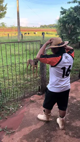 Tinha tudo pra ser um vidio bonitinho, mas ai nosso cachorro quis colocar o Henrique pra dormi kkkkkk.   #meme #tompo #cachorro #viral #vidiocassetada #humor #humortiktok 