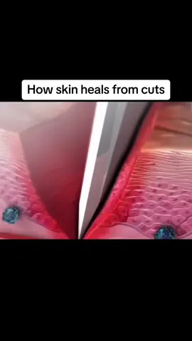 I have a paper cut rn…🥲 #howitworks #howitsmade #skin #skincare 