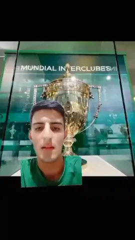 #palmeiras #mundial #fifa  #flamengo #campeao #fypシ 