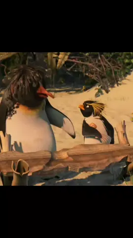 #filmes #tadandoonda #surfsup 