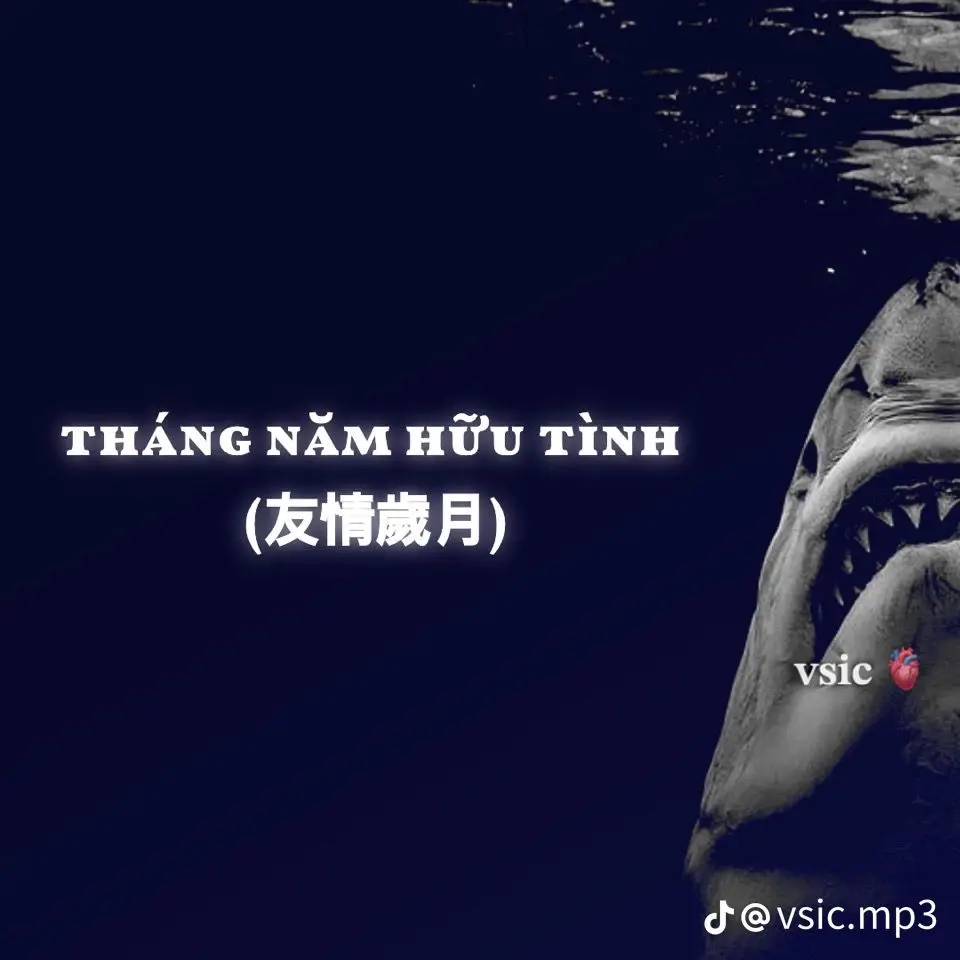 tháng năm Hữu tình remix#nhatlongnguyen #xuhuong #xuhuongtiktok ai biết tiếng Trung Quốc 