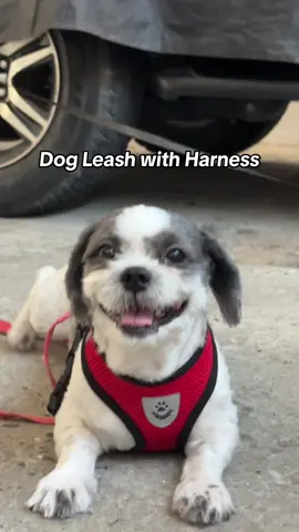 #dogleashwithharness for your cutie baby #dogessentials 
