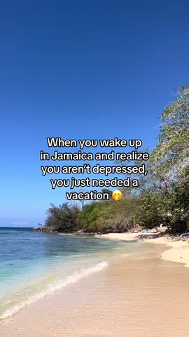 A few days of island sun & food will make anyone feel better!! Airbnb link in my bio :) #jamaica🇯🇲 #travelcontentcreator #dayinthelifevlog #vacationrental 