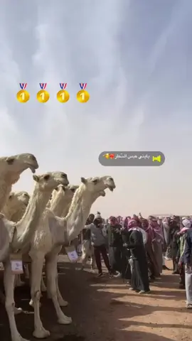 #الرشيدي #عبس #حايل #جادة_الابل #404 #المزاين #فولو #لايك #اكسبلورexplore 