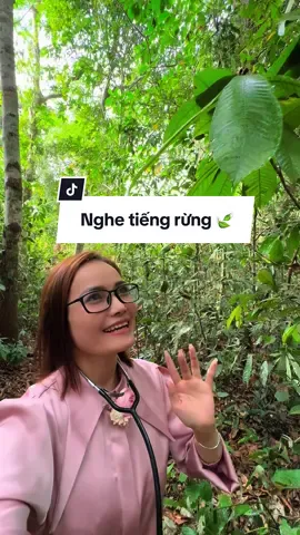Lá có nghe tôi nói gì không? Nhạc của rừng ơi #chuloan #langnghethiennhien #thiennhien #xuhuong #chualanh #tiktoktravel #nhaccuarung 