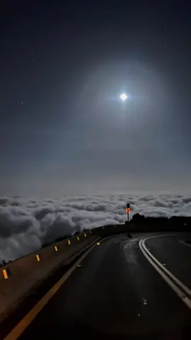 الحزن يفقد الادمي عن صوابه #فلاح_المسردي💤 .............                             . .   #اكسبلورexplore #تصوير #سكب #لايك_متابعه_اكسبلور #ترند_تيك_توك #تيك_توك 