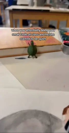 Going so will right now 😆 #turtle #inclass #quite #turtle #fypシ゚viral #fypシ #fyp 