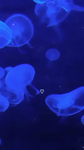 #lovealarm #kimjojo #cuandoempiezaagustartealguien 