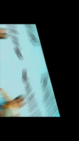 #funny #good morning #buongiorno 