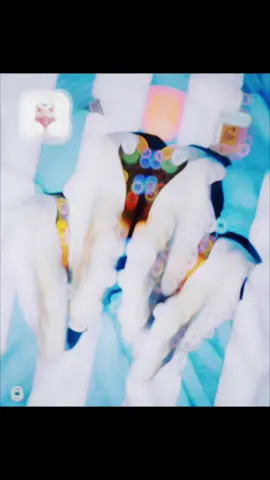 Messi 24-carat Golden Boots😩🫶Order Now😍📲WhatsApp:01971210878 #foryou #foryoupage #tranding #viral #messi #bd #football #sports #adidas #new #fifa22 