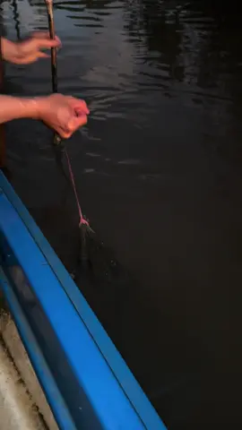 Đổ lú vuông tôm #xuhuongtiktok #mientay #vuôngtôm #fishing #tôm 