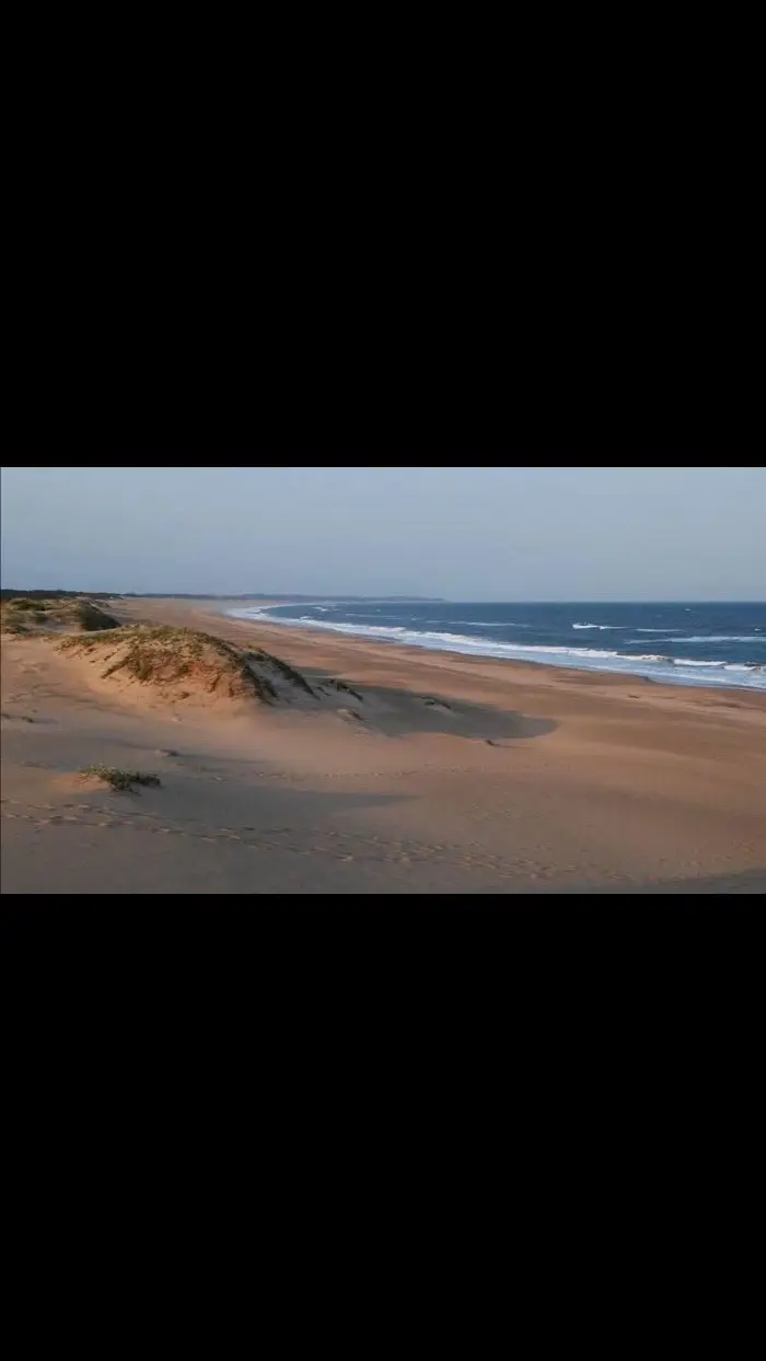 #southafrica #beach #beauty #fyp 