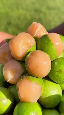 Buah paling langka dan unik namanya mamoncillo #mamoncillo #buahlangka 