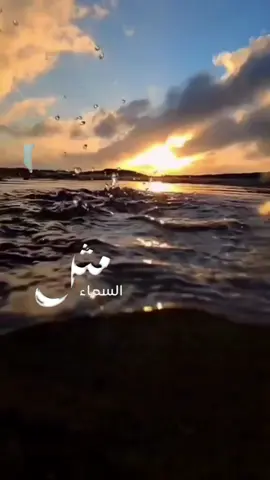 مثلُ السماء .. 🕊️