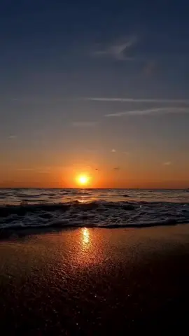 🔊 شاب حسني🎵تحوسي فوق الارض 🎶  #marocaine🇲🇦  #libya🇱🇾  #algeria🇩🇿  #tunisia🇹🇳  #palistine🇵🇸   #حضرالاكسبلور  #tiktoklongs  #شعب_الصيني_ماله_حل😂😂  #fay  #foryou  #pourtoi  #explorاكسبلور  #toutlemonde  #chebhasni  #Love 