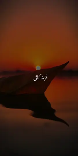 خيرا تعمل...🌷🤍 #خواطر🤍🎧🖤 #ستوريات_انستا #الله #اقتباسات #لايك #oops_alhamdulelah #خواطر #هدوء #fyp #muslim #اكسبلورexplore #فلسطين 