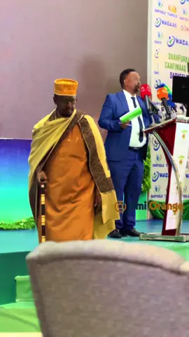 Suldaan Maxamuud Guled Mire #shamuuri #somalitiktok #hargaysa #muqdisho 