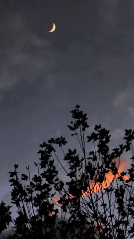 Geçte Olsa Anladim...